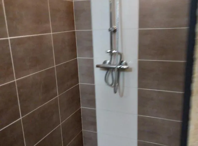 Viarhona Gasthuis 4*
